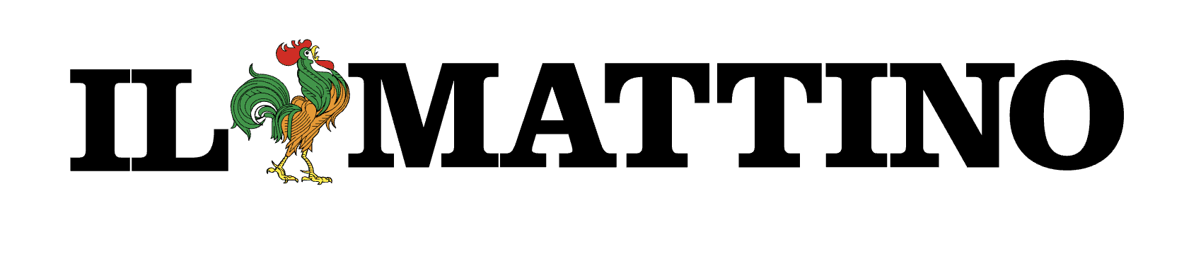 Screenshot 2026-02-12 at 17.21.52